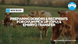 preparing donors and recipients for Ovum Pick Up (OPU) and embryo transfer ART LAB SOLUTIONS BLOG