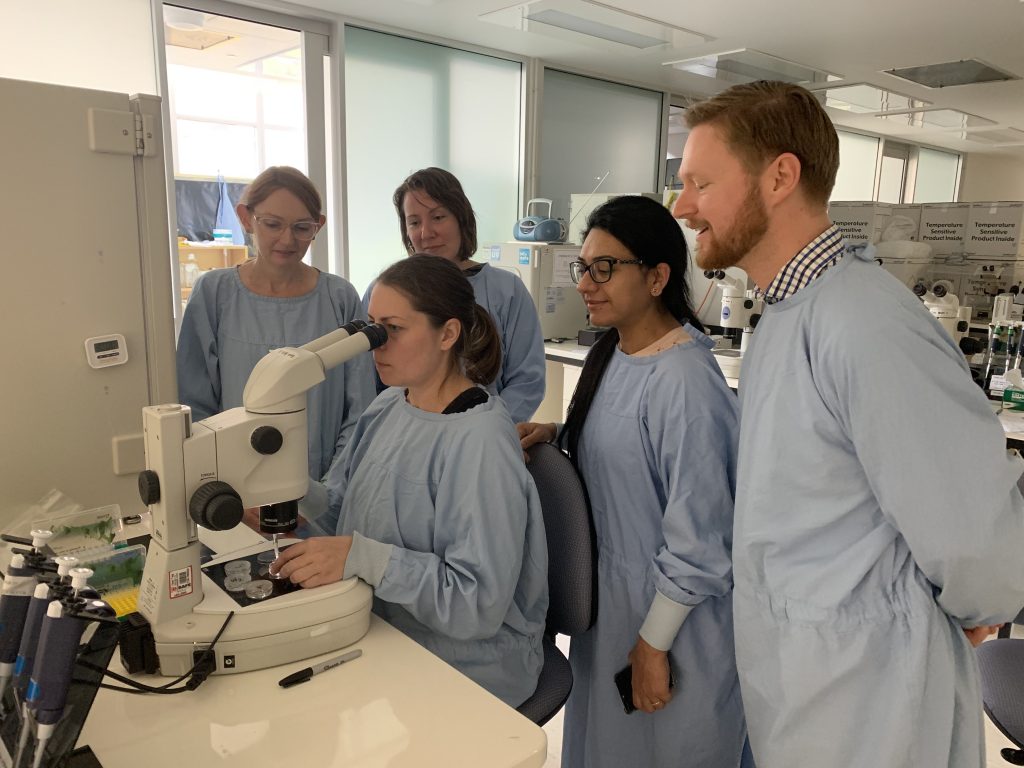 People looking into Microscope