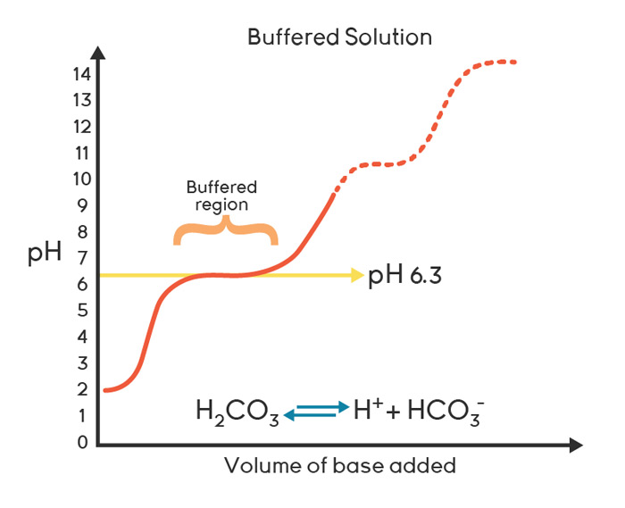 The Forgotten And Misunderstood pKa Of Buffering Systems In IVF Media ART Lab Solutions